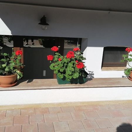 Bed and Breakfast Ana Boutique à Alba Iulia Extérieur photo